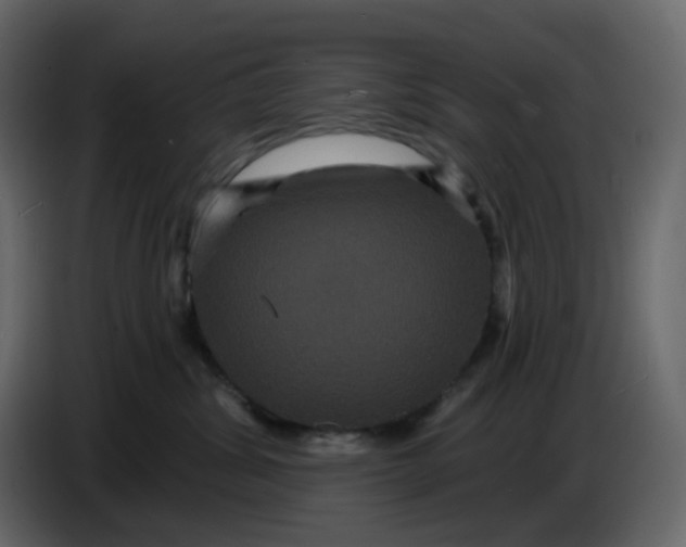 X0000086730428200705041351