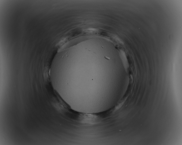 X0000086730429200705041351