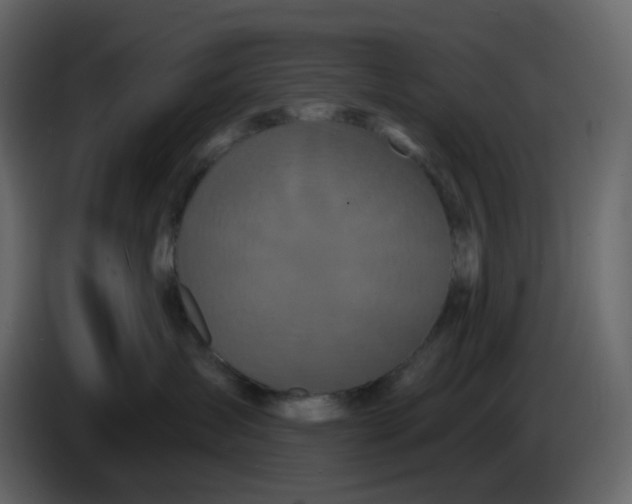 X0000086730431200705041351