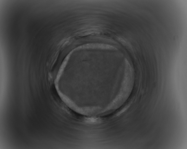 X0000086730432200705041351