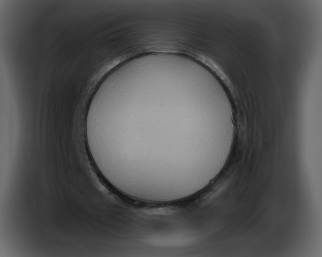 X0000086730433200705041350