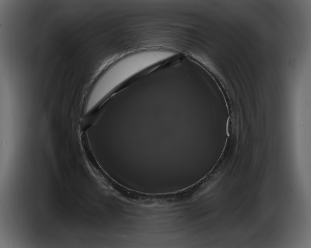 X0000086730434200705041350