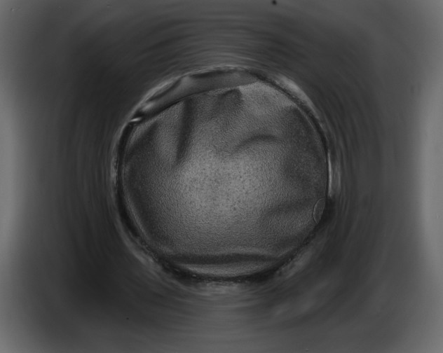 X0000086730435200705041350