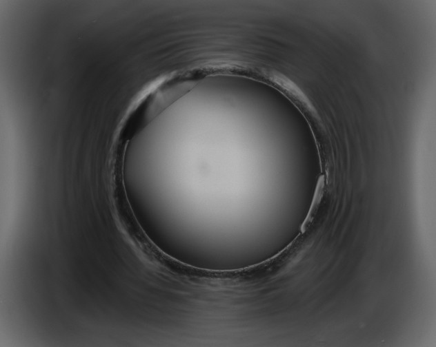 X0000086730436200705041350