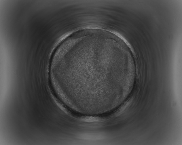 X0000086730437200705041350