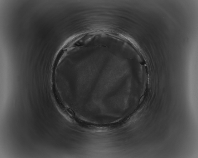 X0000086730438200705041350