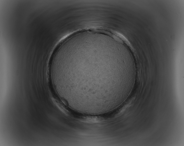 X0000086730439200705041350