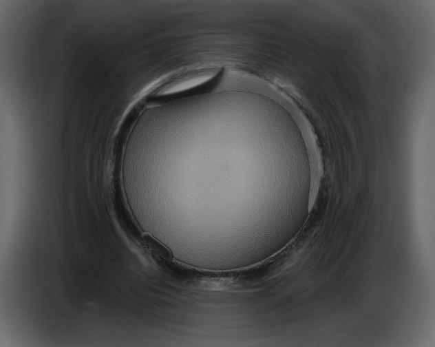 X0000086730440200705041350