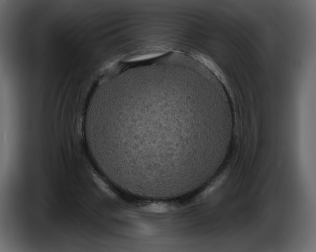 X0000086730441200705041350