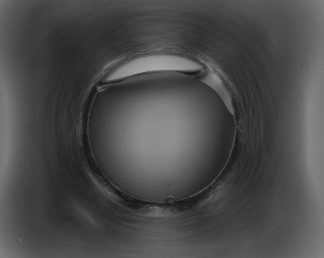 X0000086730442200705041351