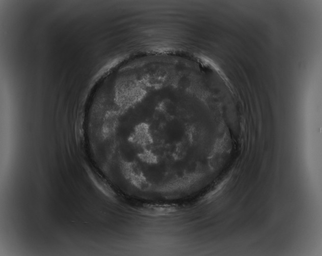 X0000086730443200705041351