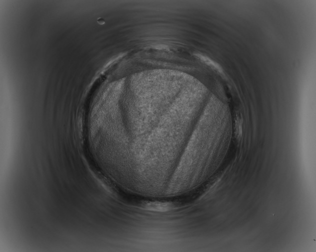 X0000086730444200705041351