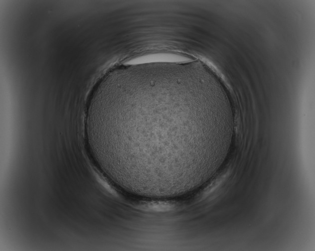 X0000086730445200705041351