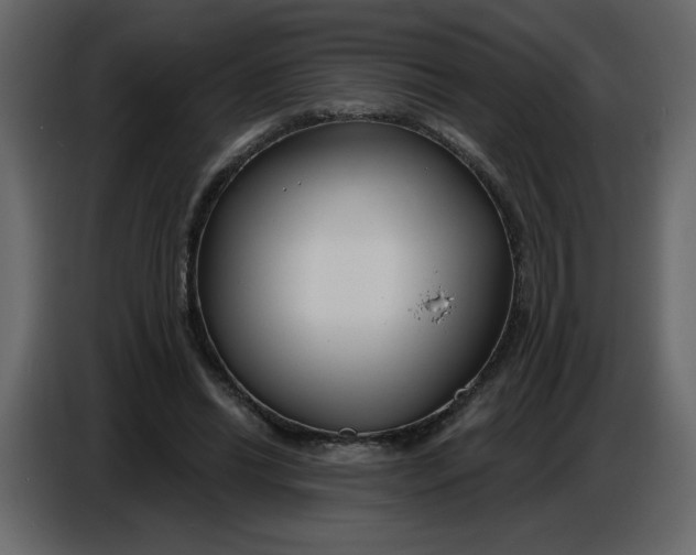 X0000086730446200705041351