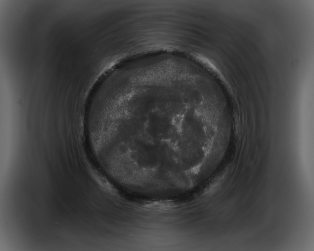 X0000086730447200705041351