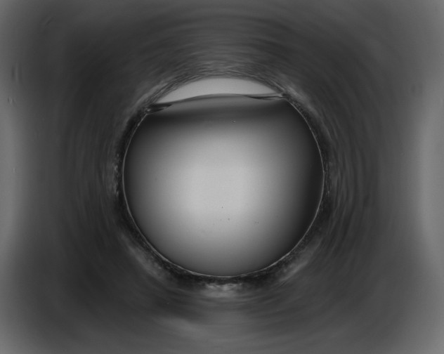 X0000086730450200705041351