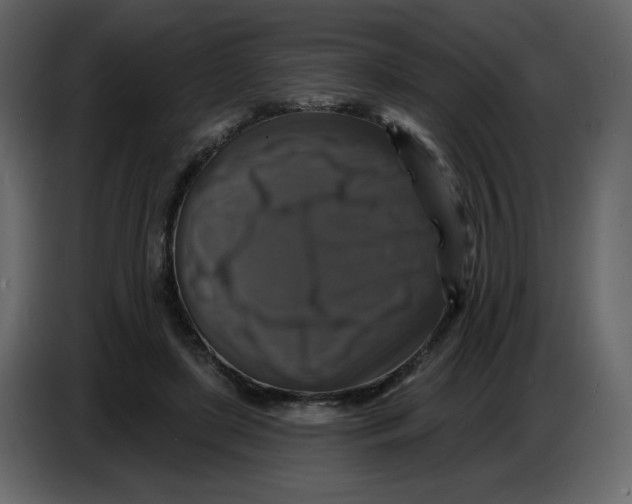 X0000086730451200705041351