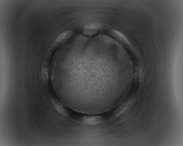 X0000086730452200705041351