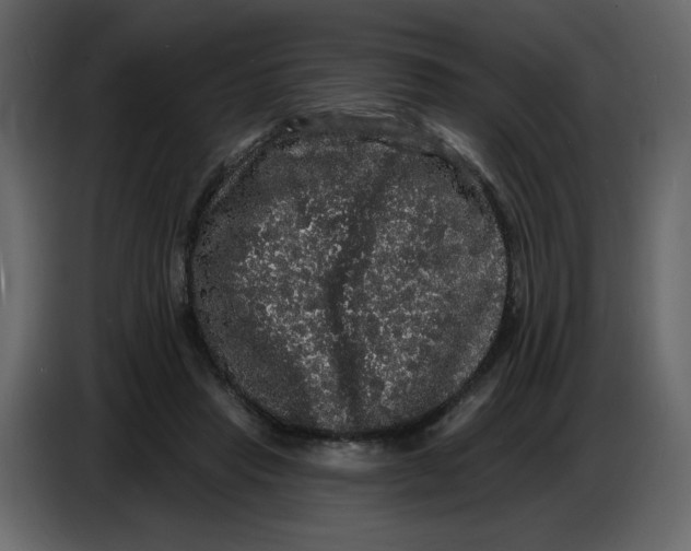 X0000086730453200705041351