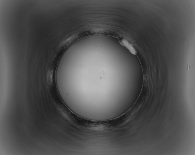 X0000086730454200705041351