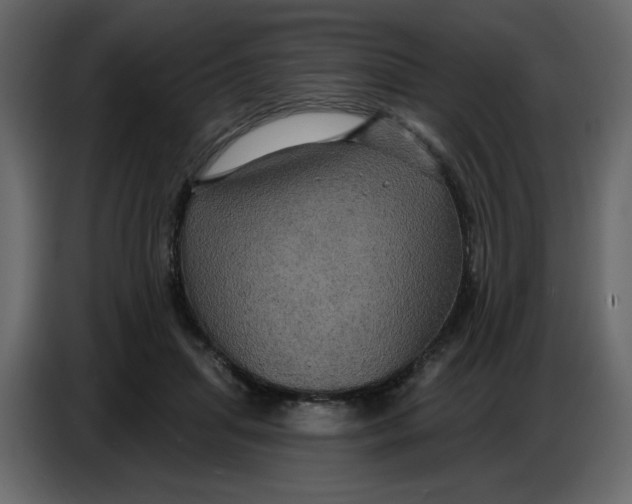 X0000086730455200705041351