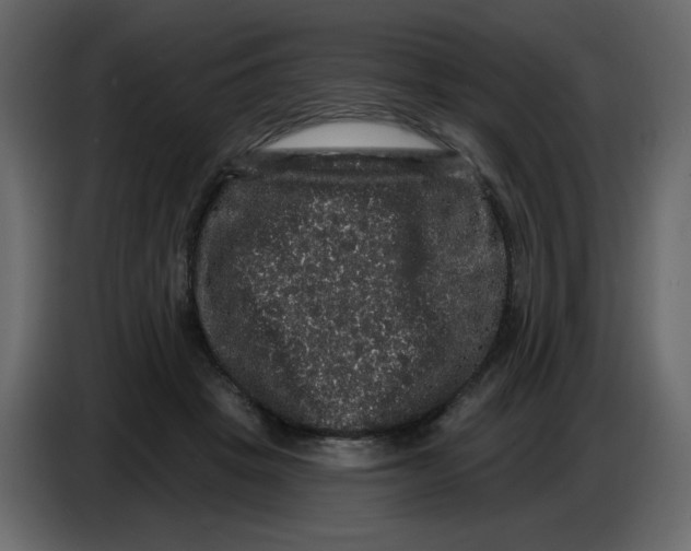 X0000086730457200705041351