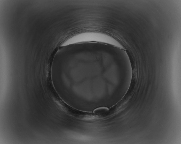 X0000086730458200705041351