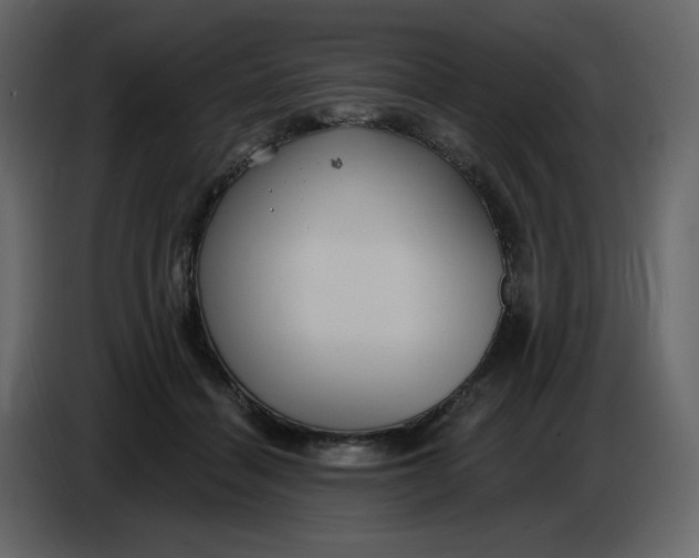 X0000086730460200705041351