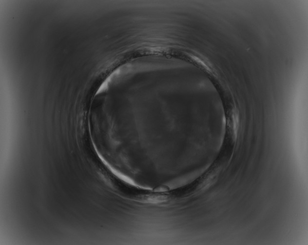 X0000086730462200705041351