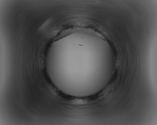 X0000086730464200705041351