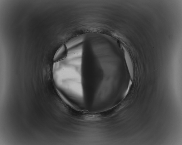 X0000086730465200705041351
