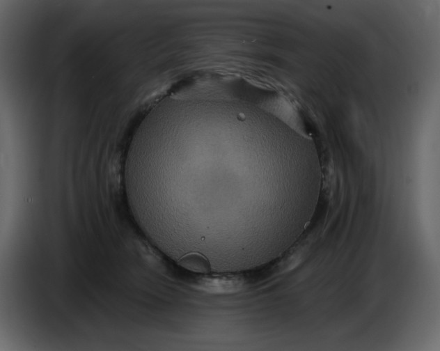 X0000086730466200705041351