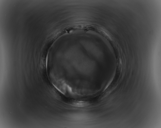 X0000086730467200705041351