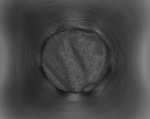 X0000086730469200705041351