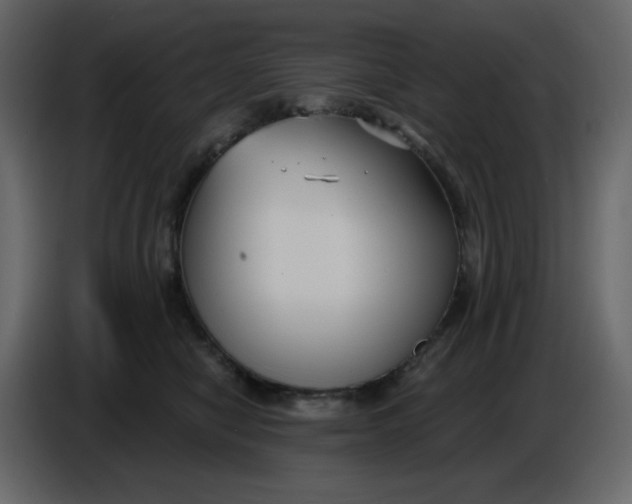 X0000086730470200705041351