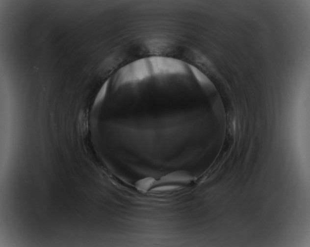 X0000086730471200705041351