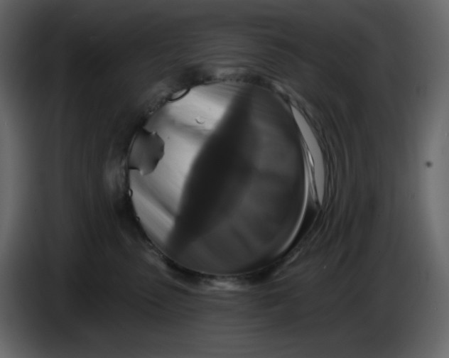 X0000086730475200705041351