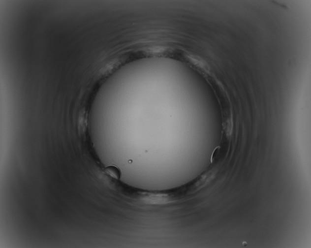 X0000086730476200705041351