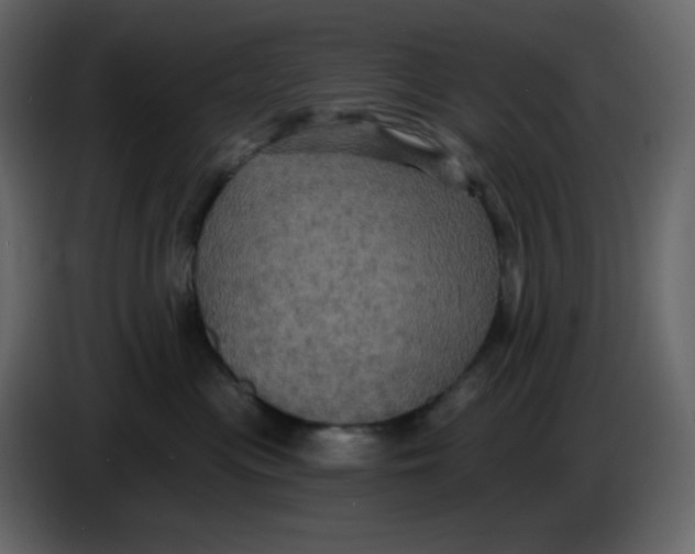 X0000086730477200705041351