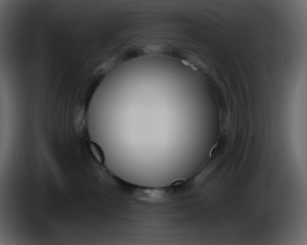 X0000086730478200705041351