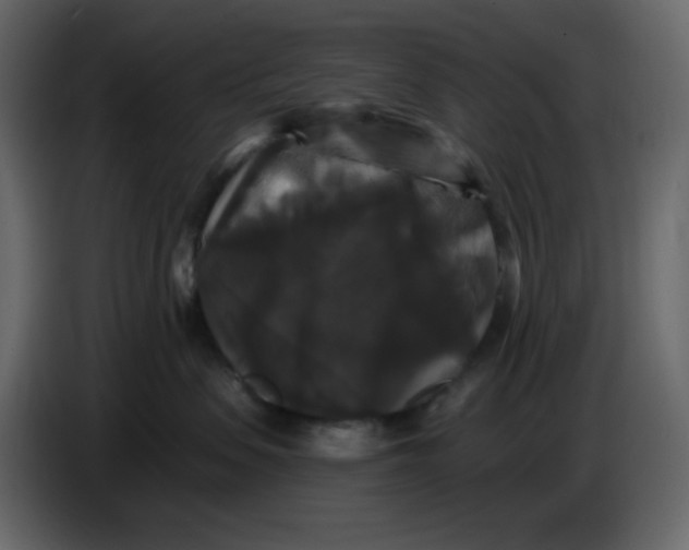 X0000086730479200705041351