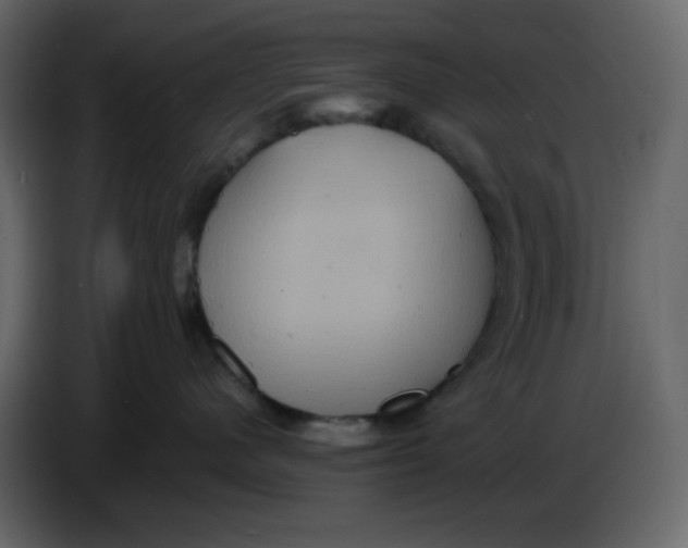 X0000086730480200705041351