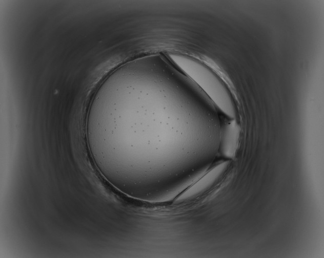 X0000086730481200705041350