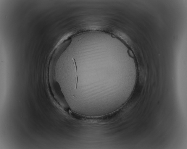 X0000086730482200705041350