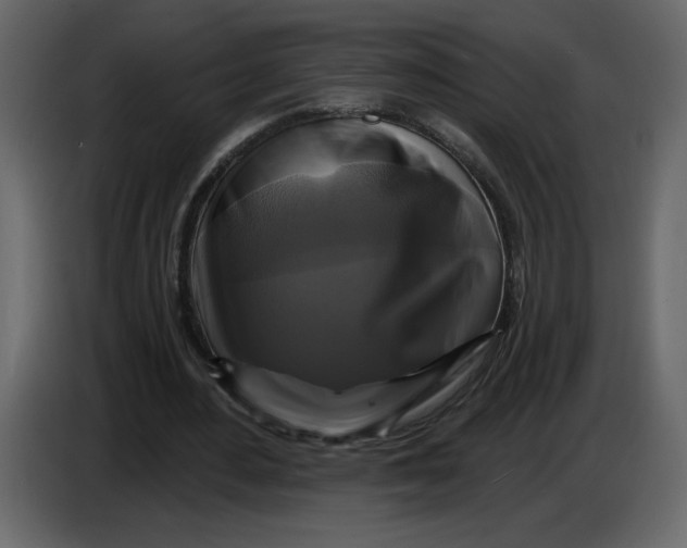 X0000086730484200705041350