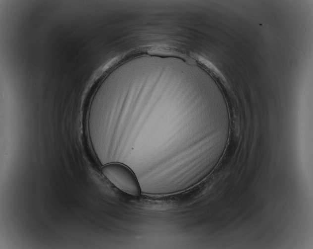 X0000086730486200705041350