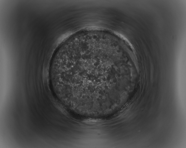 X0000086730487200705041350