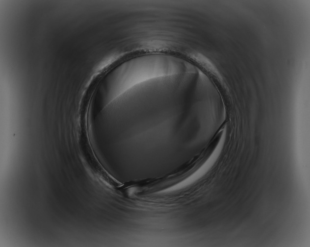 X0000086730488200705041350