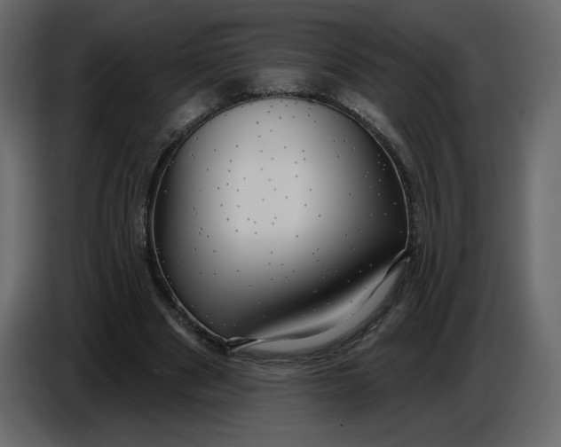 X0000086730489200705041350