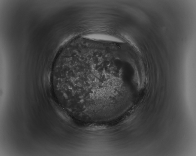 X0000086730491200705041350